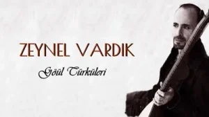 Zeynel Vardık Öldürür Albüm Kapağı