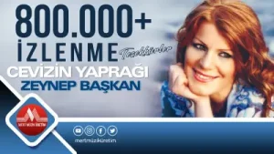 Zeynep Başkan Cevizin Yaprağı Albüm Kapağı