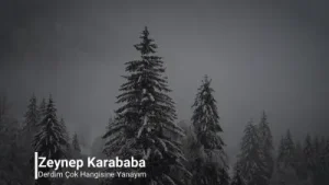 Zeynep Karababa Derdim Çoktur Hangisine Yanayım