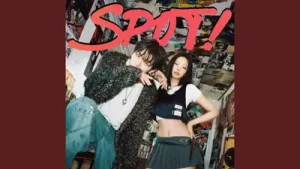 Zico Spot Feat Jennie Official Audio Albüm Kapağı