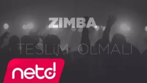 Zımba Teslim Olmalı Albüm Kapağı