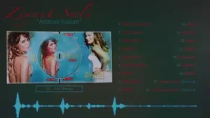 Ziynet Sali Ah Olmaz Albüm Kapağı