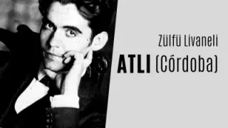 Zülfü Livaneli Atlı