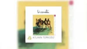 Zülfü Livaneli Büyük İnsanlık Albüm Kapağı