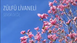 Zülfü Livaneli Eğil Salkım Söğüt Eğil Albüm Kapağı