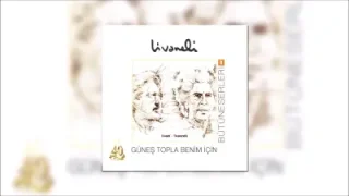 Zülfü Livaneli Geceleyin