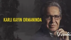 Zülfü Livaneli Karlı Kayın Ormanında Livanelizulfu Albüm Kapağı