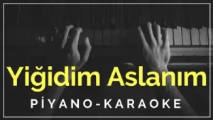 Zülfü Livaneli Yiğidim Aslanım Karaoke Albüm Kapağı