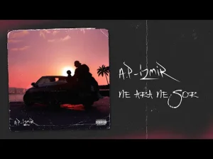 Anıl Piyancı – Ne Ara Ne Sor