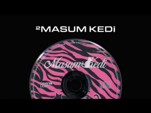 AURA - masum kedi