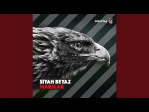 Beşiktaş - Anlayamaz Kimse Bu Aşkı