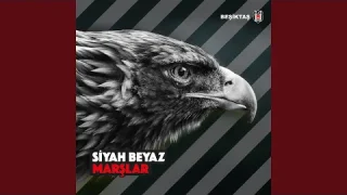 Beşiktaş  - Anlayamaz Kimse Bu Aşkı