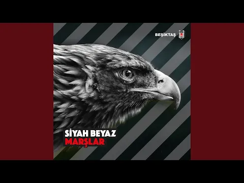 Beşiktaş  - Anlayamaz Kimse Bu Aşkı video klibi