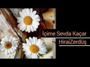 HiraiZerdüş – İçime Sevda Kaçar