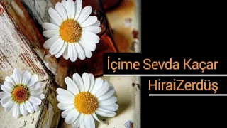 HiraiZerdüş – İçime Sevda Kaçar