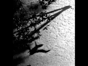 Max Richter – On the Nature of Daylight