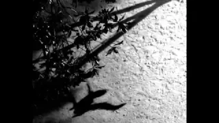 Max Richter – On the Nature of Daylight