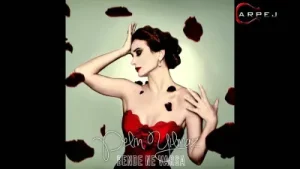 Pelin Yılmaz - Tül Perde