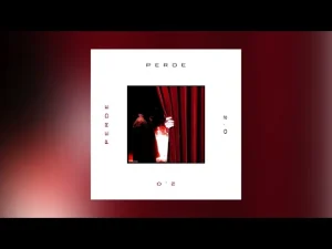 Poizi & Snow – PERDE 2.0