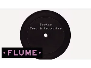 Seekae – Test Recognise