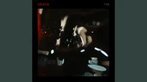 Skata Minik