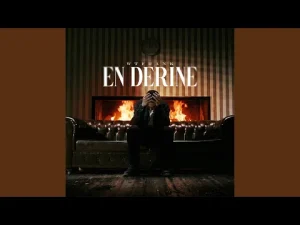 Wtsounds & Wtfrank – En Derine